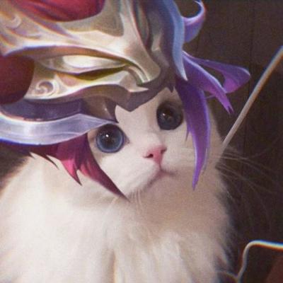 王者猫咪阵容怎么搭配的(王者荣耀猫咪怎么玩)