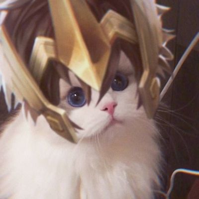 王者猫咪阵容怎么搭配的(王者荣耀猫咪怎么玩)插图