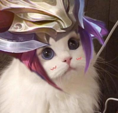 王者猫咪阵容怎么搭配的(王者荣耀猫咪怎么玩)插图1