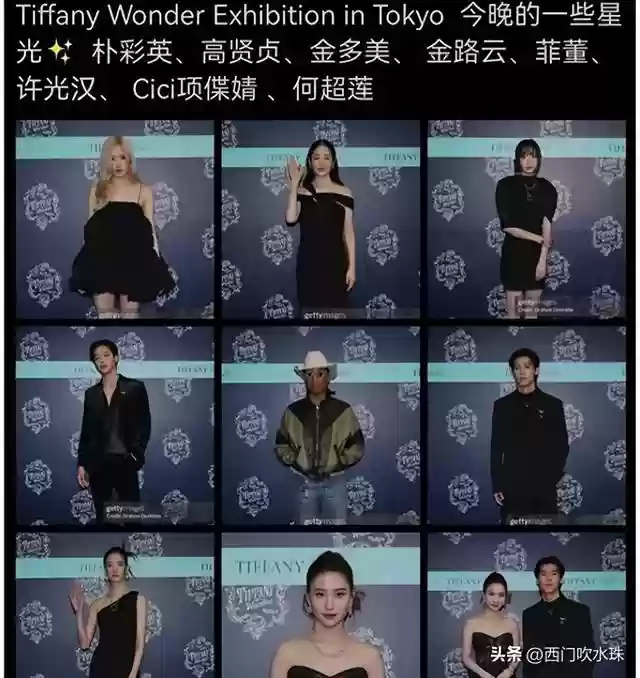 蕾丝阵容搭配推荐