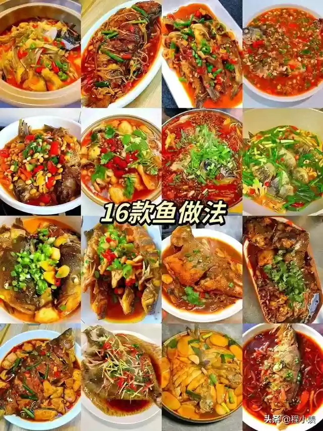 16鱼阵容搭配
