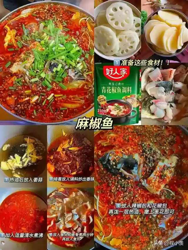 16鱼阵容搭配插图1
