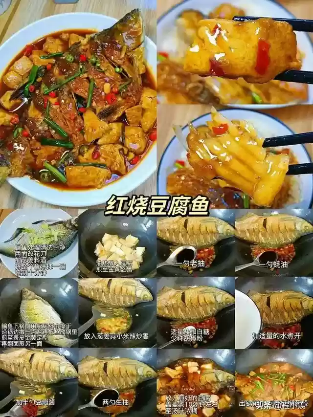 16鱼阵容搭配插图3