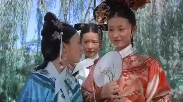 甄嬛战队阵容搭配图(甄嬛战队有哪些人)插图29