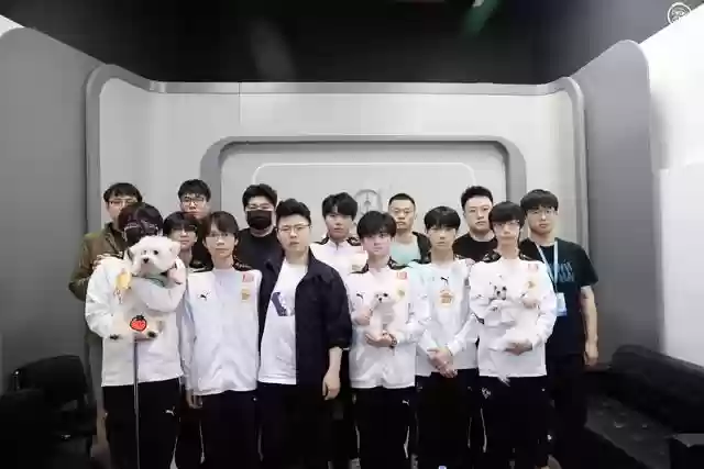 简单连胜阵容搭配推荐(连击球球合作最强阵容)插图1