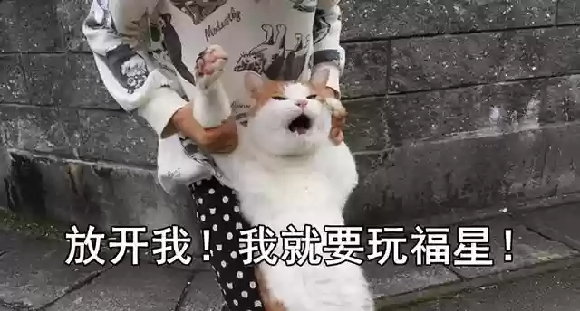 福星版本泰坦阵容怎么搭配(参天泰坦的坚决玩什么阵容)插图6