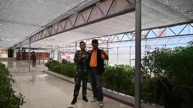 苍穹纪事搭配阵容推荐最新(苍之纪元土豪阵容)插图10