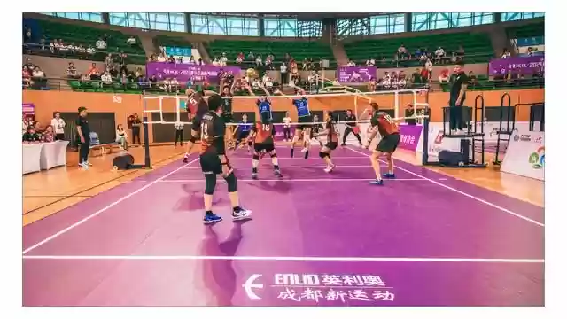 运动大师阵容搭配攻略(奇点时代最强阵容搭配)插图1