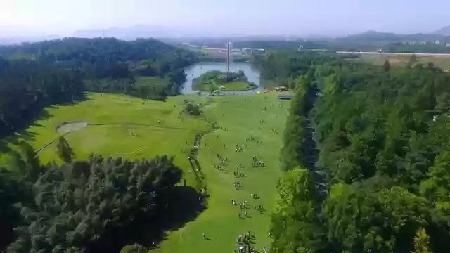 泰坦巨蟒阵容搭配图(大蛇悲鸣最简单阵容)插图5