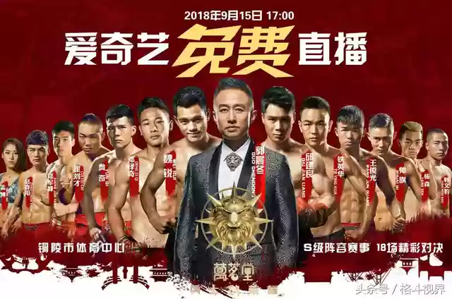 打拳搭配什么阵容最强(拳魂觉醒后期最强阵容)