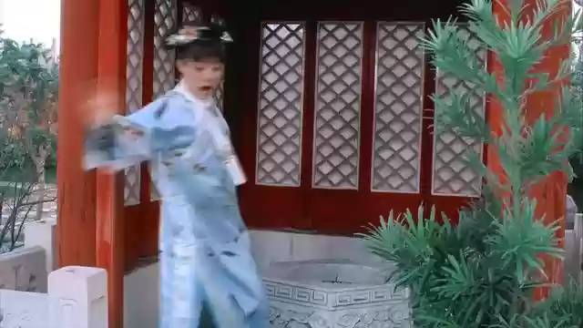 甄嬛战队阵容搭配图(甄嬛战队有哪些人)插图24
