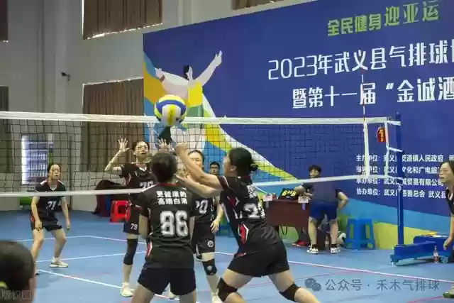运动大师阵容搭配攻略(奇点时代最强阵容搭配)插图4