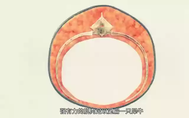 泰坦巨蟒阵容搭配图(大蛇悲鸣最简单阵容)插图8