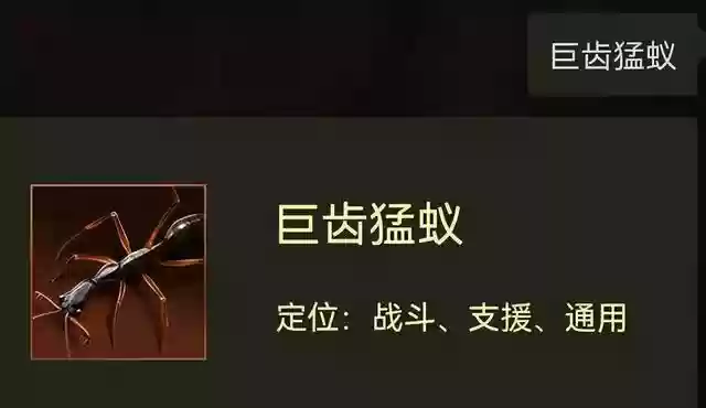 哪个特化蚁阵容搭配(2023蚁族崛起最强阵容)