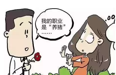 忍者荣耀之战疾风阵容搭配(疾风大冒险阵容搭配)