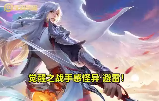觉醒守约最强阵容搭配图(夏侯渊阵容搭配)插图4