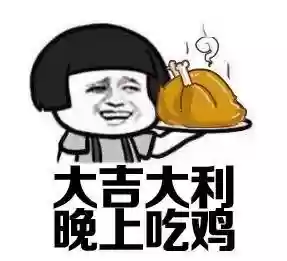 轻松吃鸡阵容装备搭配(吃鸡哪两把枪搭配最好)插图1