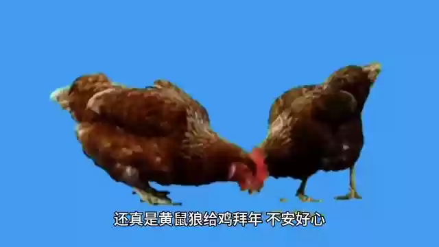 永恒神域阵容搭配6(永恒仙域山海经最强阵容)插图3