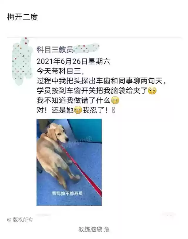 火影忍者图书馆乱斗阵容(火影忍者最强阵容)插图46