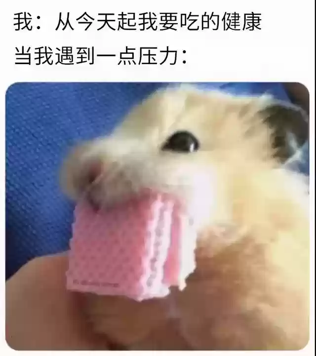 火影忍者图书馆乱斗阵容(火影忍者最强阵容)插图75