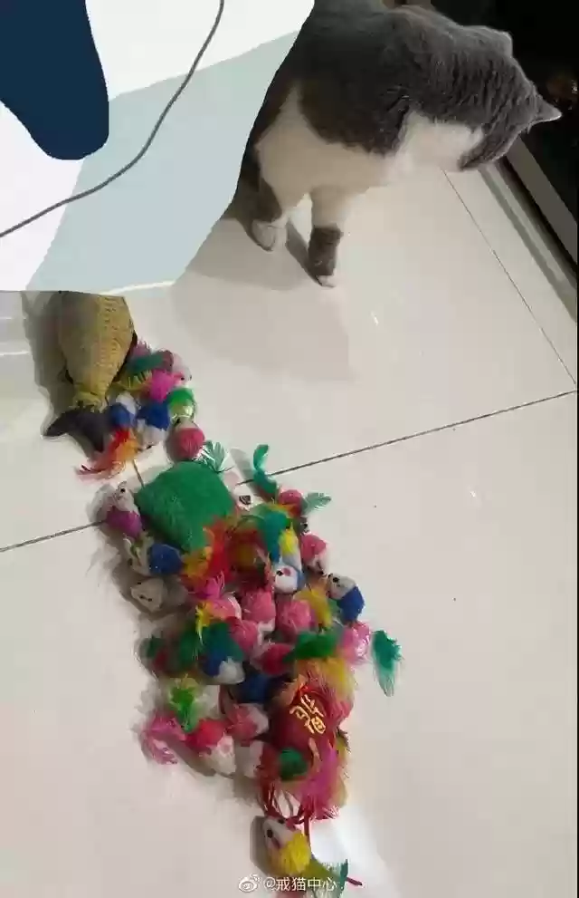 火影忍者图书馆乱斗阵容(火影忍者最强阵容)插图50