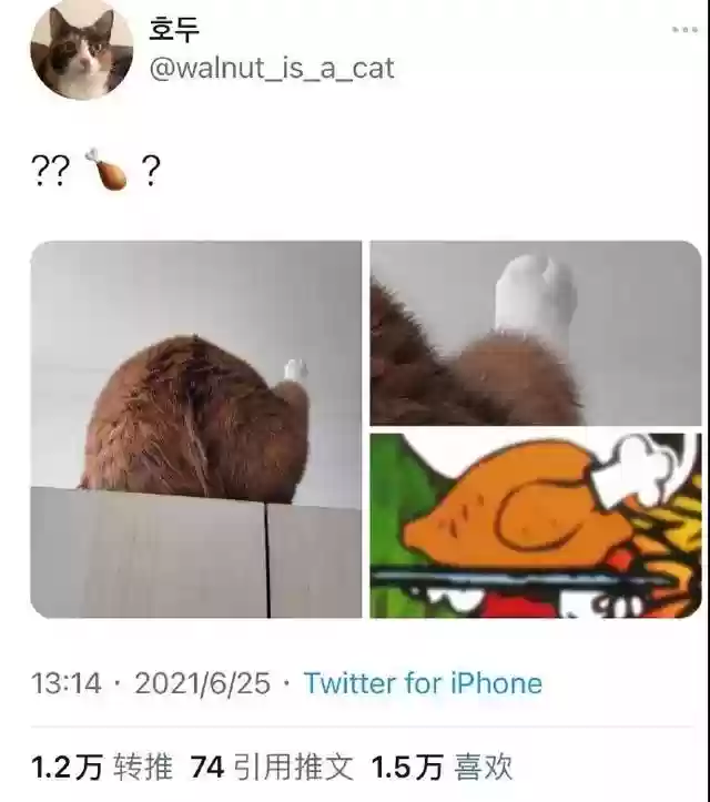 火影忍者图书馆乱斗阵容(火影忍者最强阵容)插图36
