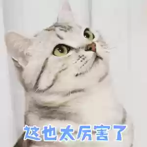 灌篮第四季最佳阵容名单(这就是灌篮第1季)插图4