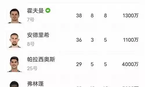 勒沃库森阵容搭配插图