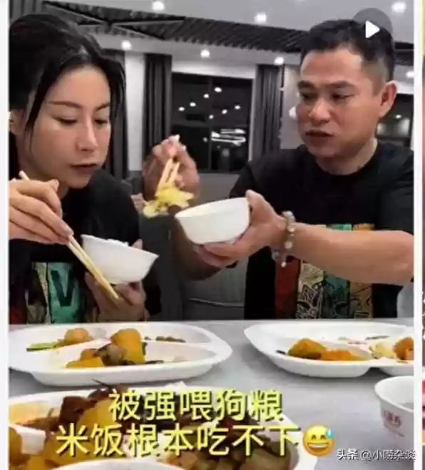 提亲豪华阵容(盛世芳华五花精英阵容怎么搭配)
