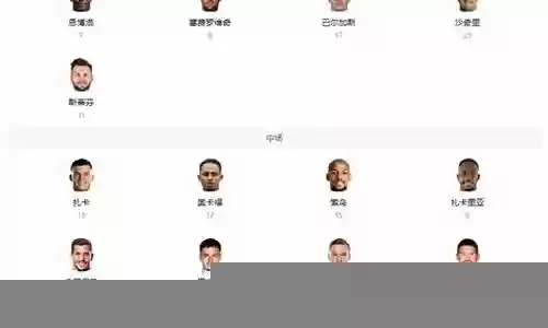 瑞士明星阵容搭配图插图