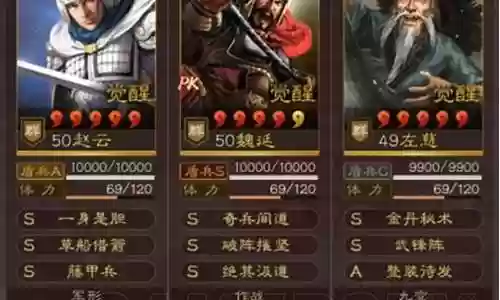 赵云群盾最强阵容搭配插图