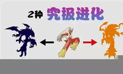 神奇宝贝火焰鸡阵容搭配插图