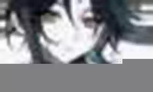 赏金战纪后期阵容搭配插图