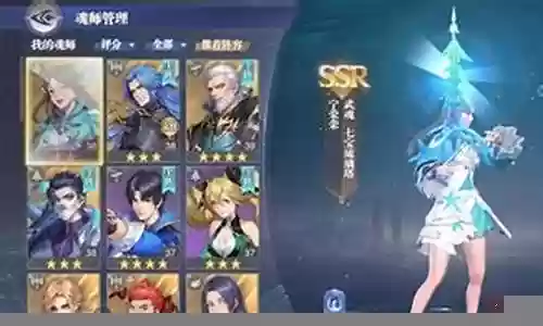 荣荣魂骨阵容搭配插图