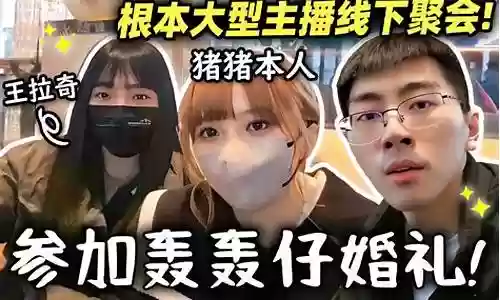 猴哥婚礼阵容搭配视频插图