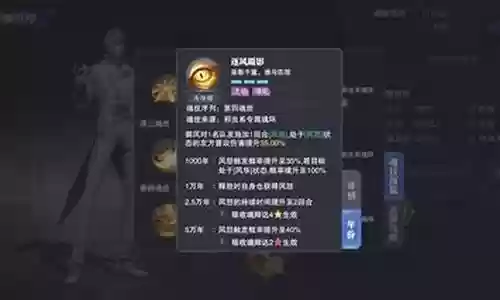 御风搭配阵容图插图