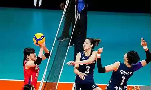 未来女排阵容搭配图文解说插图