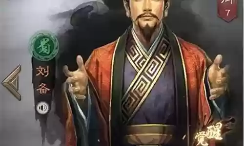 高端局刘备阵容搭配插图