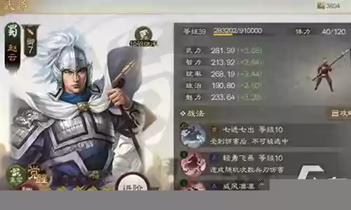 战棋姜维阵容搭配最新插图