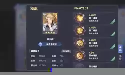 戴沐白阵容搭配大全插图