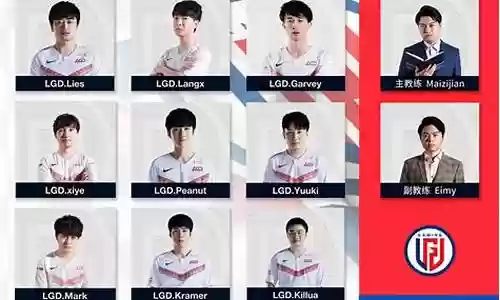 lgd夏季赛阵容搭配插图