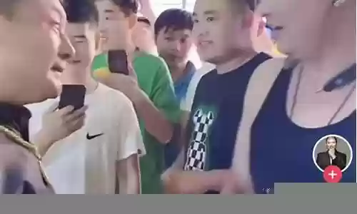 二驴摆拍阵容搭配插图
