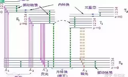 磷光的阵容搭配是什么插图