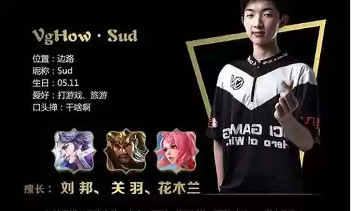 王者职业选手阵容搭配推荐插图