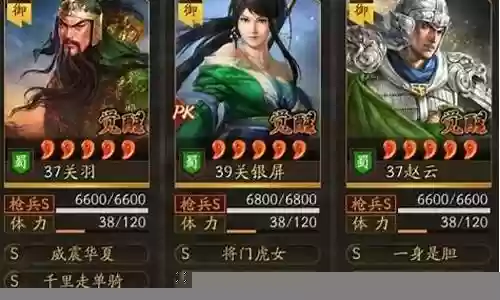 洞察枪最强搭配什么阵容插图