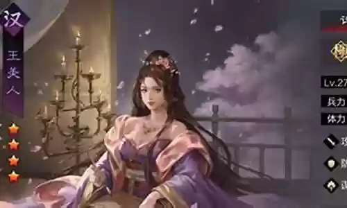 率土之滨王美人阵容搭配插图