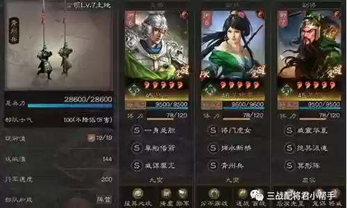 赵关关战法搭配什么阵容插图