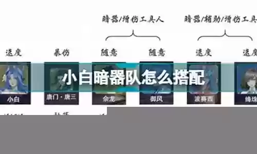 小白暗杀队阵容搭配最新插图