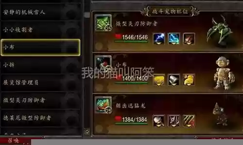魔兽世界宠物阵容插图