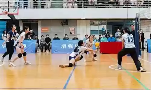 排球的最佳阵容插图